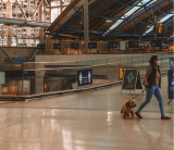 Top Dog Carriers for Stress-Free Canadian Flights