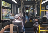 I Have the Best and Craziest 7 Bus Story Ever