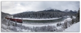 Winter in Wonderland…Feliz Navidad!