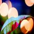 Happy Advent Season
