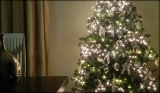 Si accendono e si spengono gli alberi di Natale . . .  !