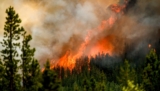 A fast-moving wildfire forces more than 20,000 people to evacuate in Canada