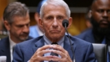 First batch of Fauci texts shows private concerns about pregnant vaccination