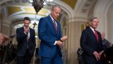 Keep the Senate working or let candidates campaign