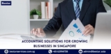 Top Accounting Services in Singapore for Business Setup