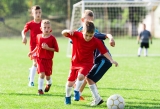 Legal Custody Decisions Extracurricular Activities Explained
