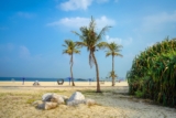 Al Mamzar Announced As New Home Of Dubai T100 Triathlon Weekend