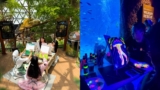 Get creative at Al Qana with these new art workshops