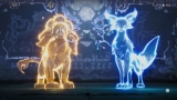 All Active Aniimo Codes For Free Glimmer, Credits, And How To Redeem Them