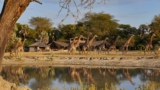 Auberge Collection Is Expanding Into Africa With 9 Extraordinary Safari Camps
