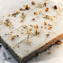 Here’s what happened at the Marina Brunch at InterContinental Abu Dhabi