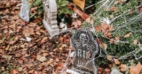Halloween Decorations Available for Fun in Australia