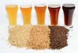 What It Reveals About Your Brew – BeerSmith Home Brewing Blog