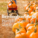 Pumpkin Patches Near Birmingham, AL: Your 2026 Family Guide