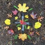 How to Make a Nature Mandala
