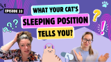 Chatting About Sleeping Positions, Loafing & Cats in Tubes