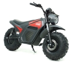 The Fun (And Affordable) Coleman Off-Road Electric Mini Bike