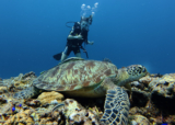 6 weeks through Java, Bali and Lombok