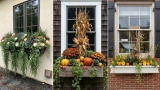 Fall Window Boxes Ideas to Make Your Home Feel Warm and Welcoming