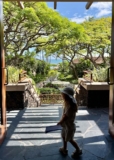 Is Four Seasons Hualalai Worth It? Our Stay at Hawaii’s Most Iconic Luxury Resort