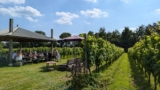 10 Wineries in the Netherlands Worth Visiting