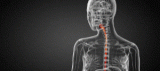 Sudden Difficulty Swallowing? Here’s What It Is, And What Could Be Causing It – Gastroenterology Health Partners