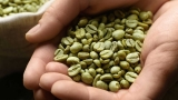 Is green coffee the upgrade your body has been waiting for?