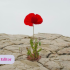 Why Reshaping Memories May Hold the Key to Raising Self-esteem
