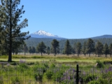 Family Vacation in Sunriver, Oregon