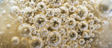 Opinion: Cannabis Is a Nutraceutical, Not a Pharmaceutical — and Why Descheduling Remains the Only Real Path Forward