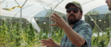 How Washington Killed the Colombian Cannabis Boom And Created the Cocaine Cartels by Accident