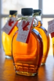 How to Make Homemade Maple Syrup (In Your Backyard!)