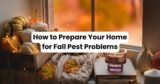 How to Prepare Your Home for Fall Pest Control Problems