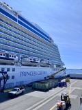 Alaskan Princess Cruises for families