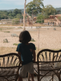 West Midlands Safari Park, Safari Lodges Review