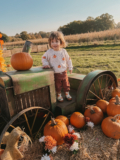 Best Pumpkin Patches Near London for Halloween 2026