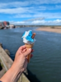 16 Brilliant Things to Do in Northumberland for Kids 