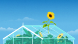 Make the Business Case for Your Sustainability Initiative