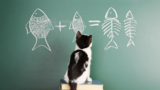 How to Ensure Your Company Acts on Your New Strategy