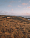 The 50 Best Places to Stay in Tasmania in 2026