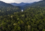 How a Decade of Advocacy Became a Documentary – The Understory