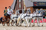 100 Years of Marbach Stud Parades Part II: An Anniversary To Remember