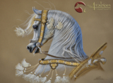 Marian Duncan – Arabian Art from Down Under