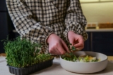 Easy Indoor Food Projects for Healthier Meals |