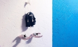 Mark Whalen: Bodies Caught in the Balance