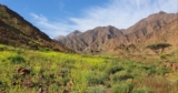 Wadi Wurayah: a guide to the UAE’s first natural UNESCO World Heritage Site