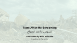 Texts After the Screaming – ARABLIT & ARABLIT QUARTERLY