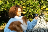 How PetLabCo.’s ProBright® Advanced Supports Canine Dental Health – Dogster