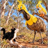 Tweety & Sylvester Down Under: two new studies exonerate cats