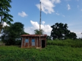 Listening through Noise in Central Africa
